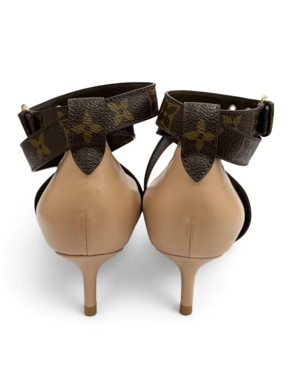 Louis Vuitton brand louis